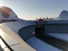 -哈尔滨大剧院