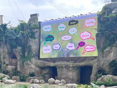 -新加坡飞禽公园