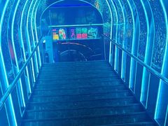 -胖子烧烤海鲜(亲贤北街店)