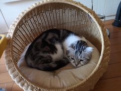 -纳吉亚猫专科动物医院博雅分院