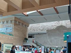 -烟台市博物馆