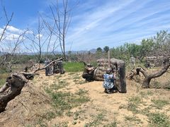 -亲兄弟真人CS团建拓展基地