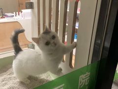 -爱侣宠医·鹦鹉专科·小型哺乳类·异宠专科(灵石路店)