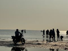 -红树林天天赶海