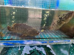 -坛南湾农家乐·海鲜楼·大排档(平潭坛南湾店)