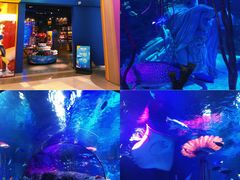 -沈阳海洋探索中心