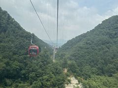 -栾川竹海野生动物园