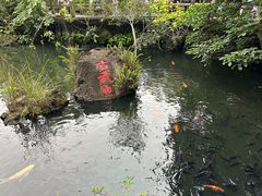 -海口火山口国家地质公园
