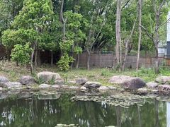 -同里国家湿地公园