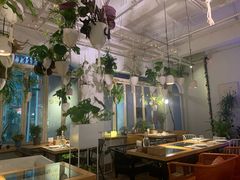 大堂-春树下·树屋花房西餐厅(罍街AS1980店)