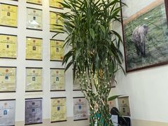 -美联众合动物医院·24h转诊中心