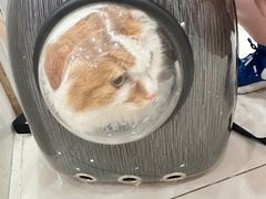 -美联众合24小时·皮肤科·外科·全科诊疗中心(华苑分院)