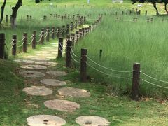 -红花山公园