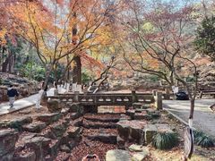 -常熟方塔园