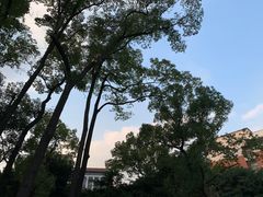 -四川大学(望江校区)