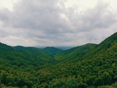 -东明山森林公园