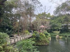 -广州兰圃