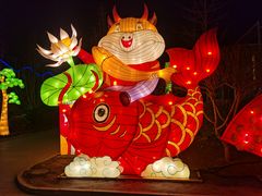 -南宫五洲植物乐园