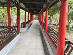 -南汇桃花村