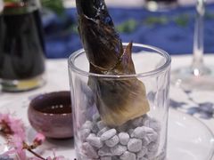 -诺莱仕游艇会