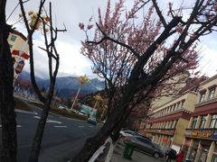 -南渝食府.石锅鸡(尚城花园店)