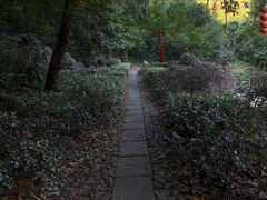 -杭州西湖风景名胜区-三生石