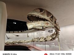 -自贡恐龙博物馆