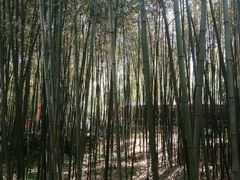-竹泉村旅游度假区