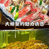 大螃蟹的魅力诱惑