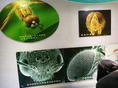 -上海昆虫博物馆