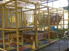 -红栌温泉山庄生态美食餐厅