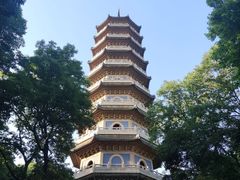 -灵谷景区