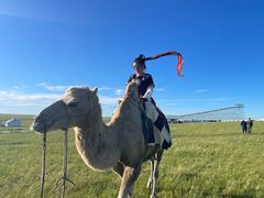 -呼和诺尔旅游景区