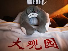 -大观园影院式足浴Spa店(沙坪坝店)