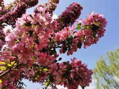 -元大都城垣遗址公园