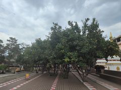 -一寨两国风景区