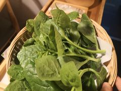 -十二舍·湯物素煮(江泰潤政店)
