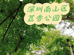 -荔香公园