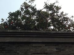 iphone_upload_pic-钱业会馆