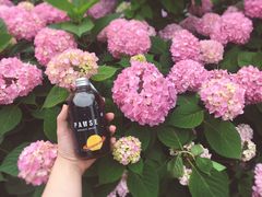 -PAUSE(恒大广场店)