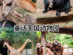 -长鹿旅游休博园