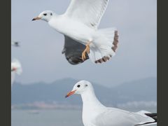 -滇池海埂公园