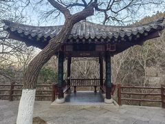 -佛慧山