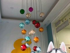 -蓝鲸奇亲子游泳俱乐部