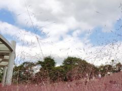 -牛岗山公园