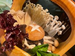 -掂档潮汕牛肉火锅(沈阳万象城店)