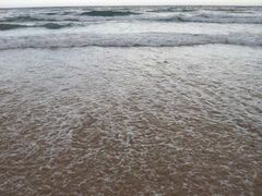 -黄金海岸