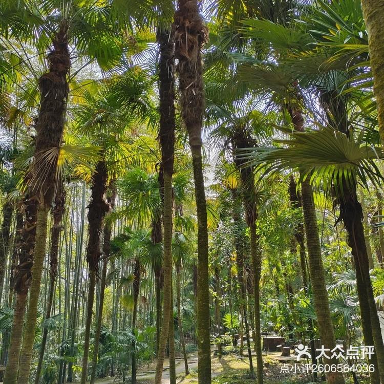 天乐谷风景区 门票图片