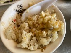 -丁老爷子苏香圆
