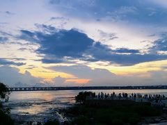 -宝安西湾红树林湿地公园